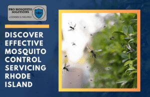 Pro Mosquito Solutions provides effective mosquito control services in Rhode Island, protecting families and outdoor spaces from pests.