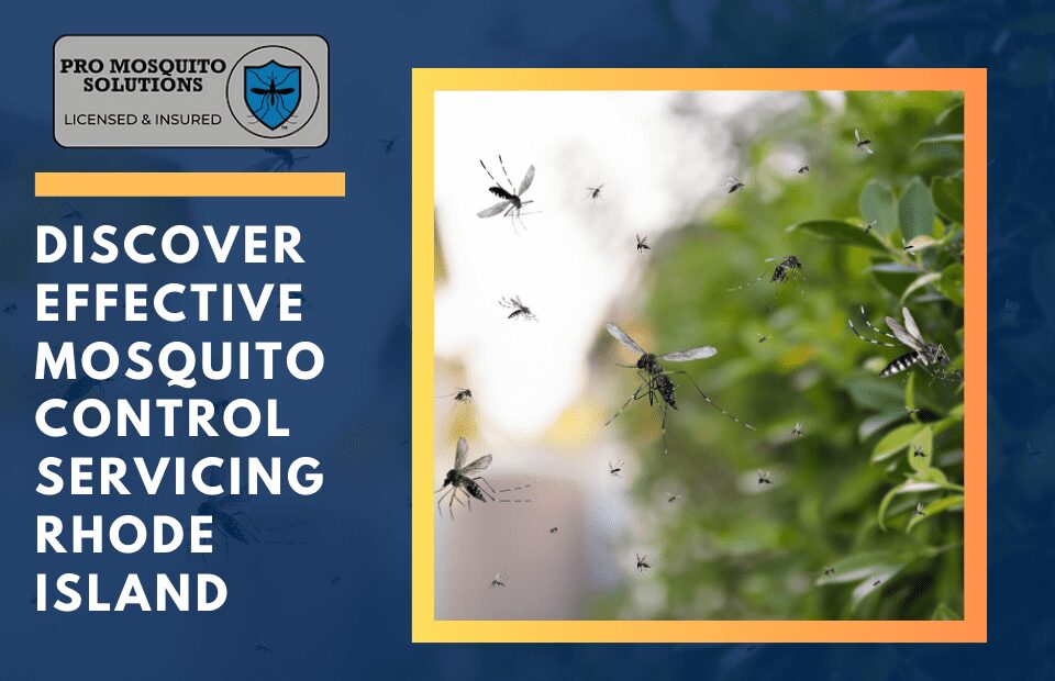 Pro Mosquito Solutions provides effective mosquito control services in Rhode Island, protecting families and outdoor spaces from pests.