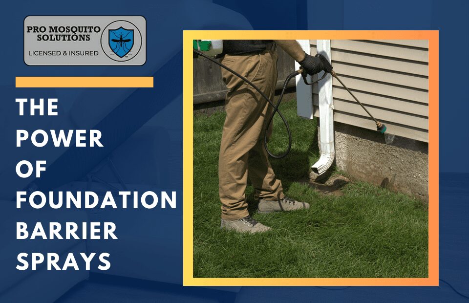 Pro Mosquito Solutions technician applying a foundation barrier spray around a home’s foundation to prevent crawling insects and ensure a pest-free environment.