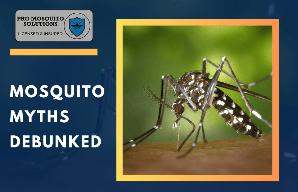 A graphic illustrating 25 mosquito myths debunked, featuring common misconceptions and accurate facts about mosquito control in Rhode Island.
