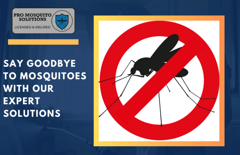 Expert Mosquito Control Solutions for a Mosquito-Free Environment