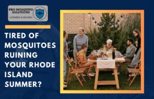 A family frustrated by mosquitoes during summer in Rhode Island, highlighting the need for Pro Mosquito Solutions’ mosquito control services.