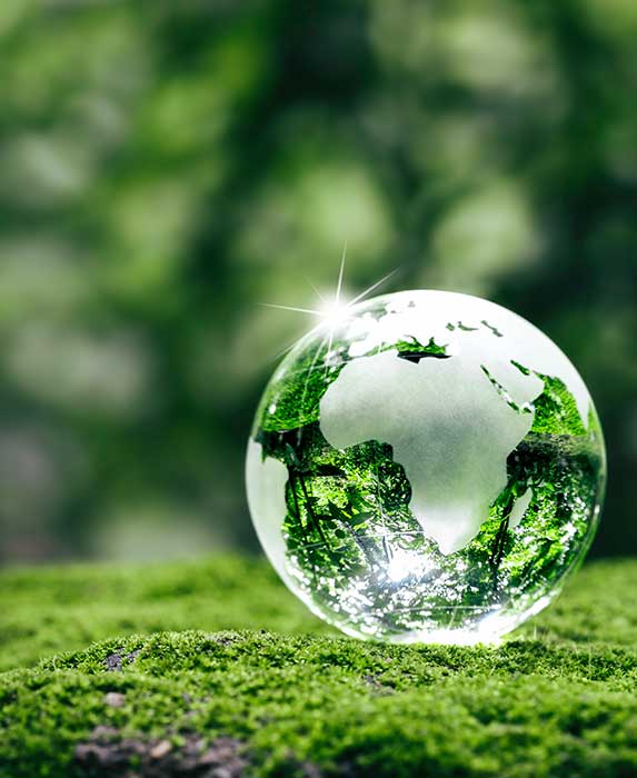 Green globe representing Earth, symbolizing Pro Mosquito Solutions commitment to eco-friendly mosquito and tick control in Rhode Island.