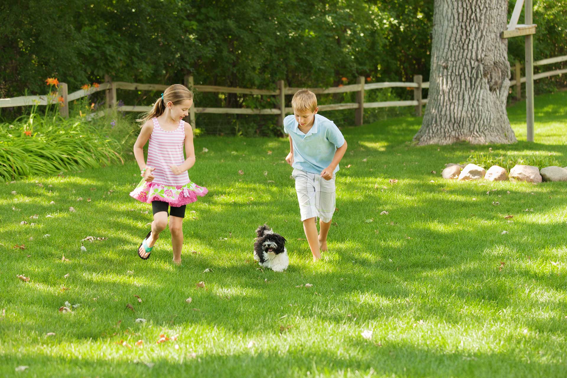 Kids playing with a dog safely in a Rhode Island yard protected by Pro Mosquito Solutions mosquito and tick control, enjoying a pest-free outdoor space.