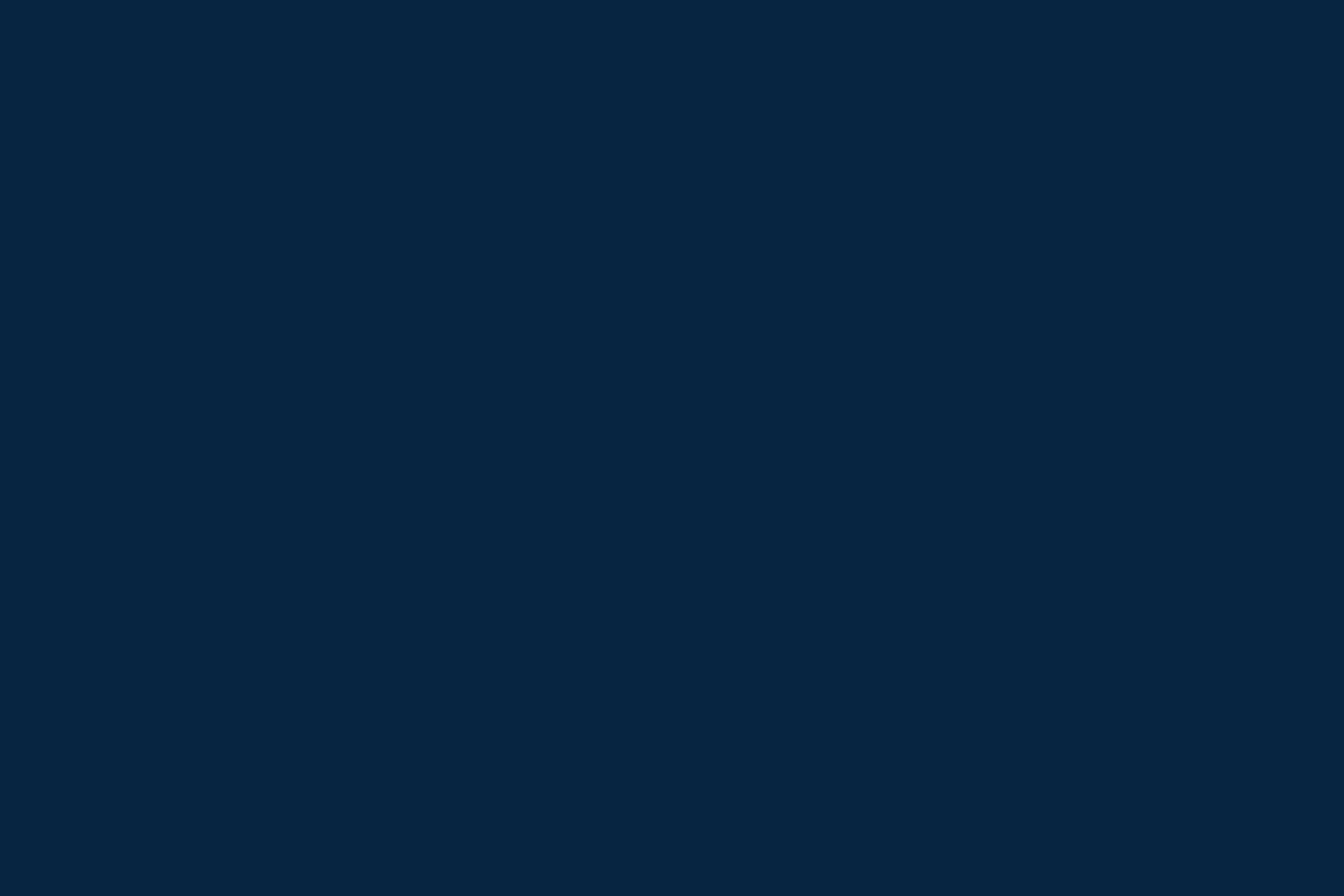 Solid background placeholder image designed for Pro Mosquito Solutions website theme, complementing the visual layout.