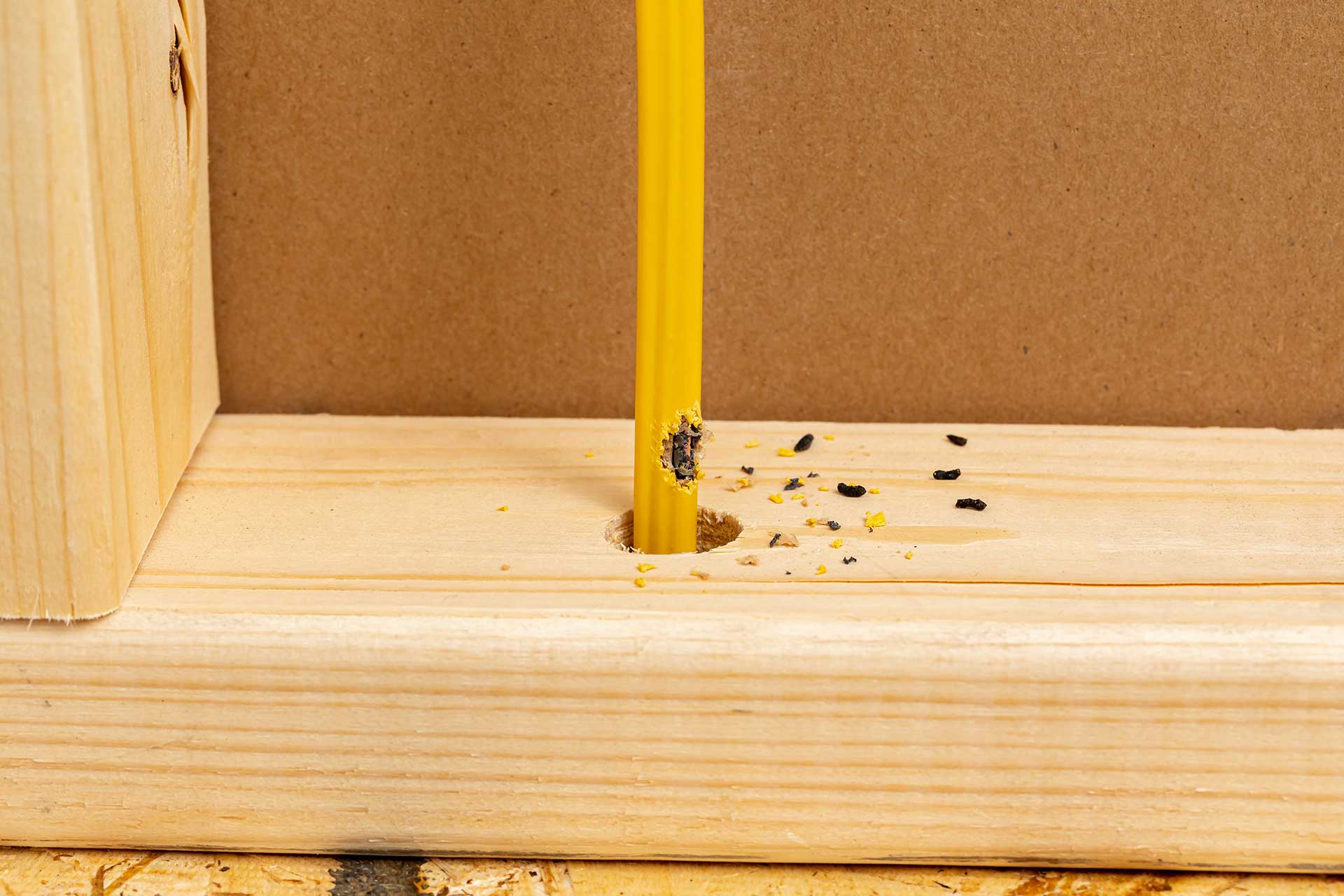 Mouse-chewed wires and droppings inside a wall illustrate the damaging effects of rodent infestations, underscoring the need for effective pest control by Pro Mosquito Solutions.