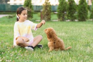 A girl playing with her dog in a safe, pest-free yard, maintained with pet-friendly pest control solutions by Pro Mosquito Solutions in Rhode Island.