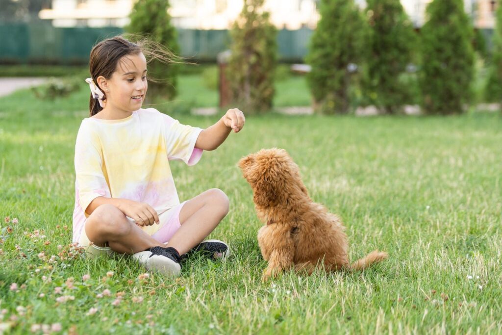 A girl playing with her dog in a pest-free yard in Cranston, RI, protected by Pro Mosquito Solutions.