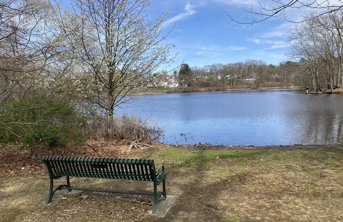 Meshanticut State Park in Cranston, RI, featuring a peaceful pond surrounded by natural beauty.