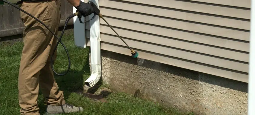 Explore ant and insect control products and services to protect your home and yard in Rhode Island and Southeastern Massachusetts.