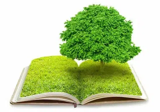 Discover safe and eco-friendly pest control solutions for your home and business.