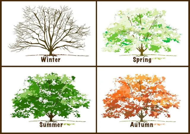 A calendar with seasonal icons representing pests, emphasizing seasonal pest control education.