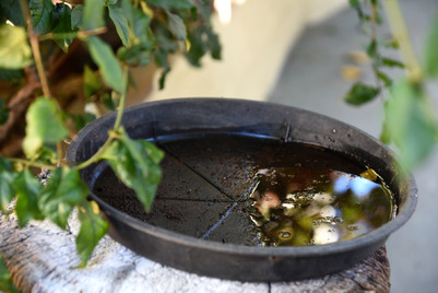 Water treatment service by Pro Mosquito Solutions to control mosquitoes in ponds, fountains, and other water features for Rhode Island homes and businesses.