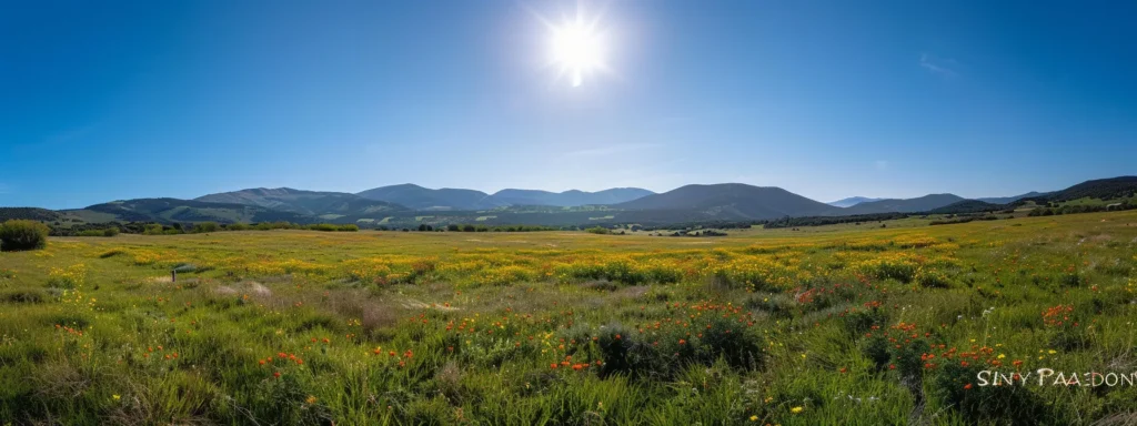 a vibrant, sunlit meadow bursts with colorful wildflowers under a clear blue sky, inviting serenity and a sense of natural beauty.