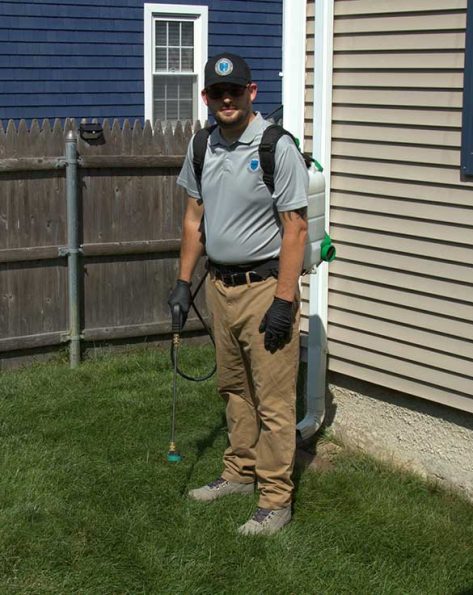 Pro Mosquito Solutions technician in Rhode Island using a professional backpack sprayer for foundation treatment, effectively targeting all species of ants.